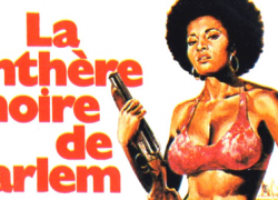 (Français) COFFY – LA PANTHÈRE NOIRE DE HARLEM (1973)