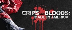 Crips and Bloods: Made In America (2008)