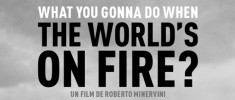 What You Gonna Do When the World's on Fire? (2018)